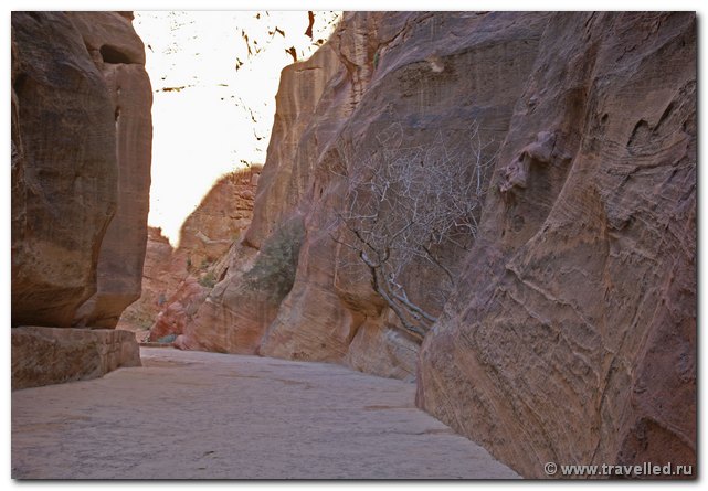 .  Siq. ()
