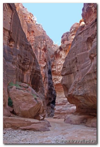 .  Siq. ()