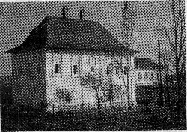tmp3C52-6.jpg